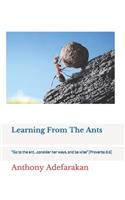 Learning From The Ants: "Go to the ant...consider her ways, and be wise" [Proverbs 6:6]