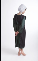 The Amish Helper