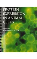 Protein Expression in Animal Cells