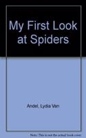 My First Look at Spiders: (My first look at)