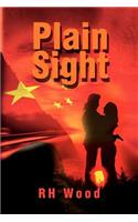 Plain Sight: (English)