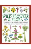Wild Flowers & Flora, The World Encyclopedia of: A reference and identification guide to 1730 of the world's most significant wild plants