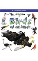 Birds of All Kinds