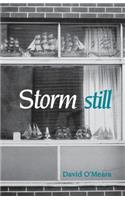 Storm Still