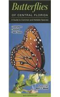 Butterflies of Central Florida