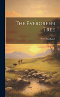 Evergreen Tree