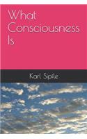 What Consciousness Is