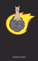 Astronomy Notebook: Lined Log Book For Astronomer And Scientist: Asteroid Journal - Llama Riding On Asteroid Gift