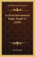 Droit International Public Positif V1 (1920)