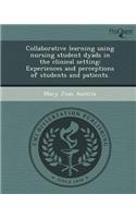 Collaborative Learning Using Nursing Student Dyads in the Clinical Setting: Experiences and Perceptions of Students and Patients