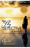 Sky Detective