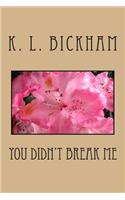 You Didn't Break Me