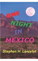 One Night In Mexico