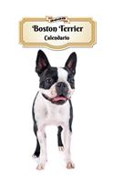 2020 Boston Terrier Calendario: 107 Páginas Tamaño A5 Planificador Semanal 12 Meses 1 Semana en 2 Páginas Agenda Semana Vista Tapa Blanda Perro