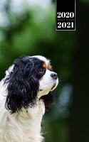 Cavalier King Charles Spaniel Dog Calendar Week Planner 2020 / 2021 - Sad Look: Pup Puppy Doggie Pet Owner Weekly Bullet Journal Notebook Diary in 6" x 9" Inch Pocket Size