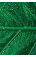Dew Leaf Notebook: Blank Journal Diary Memoir Log Logue(40 Go Green 150 Lined)
