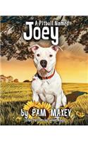 Pitbull Named Joey