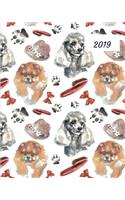 2019