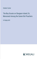 Boy Scouts on Sturgeon Island; Or, Marooned Among the Game-fish Poachers: in large print