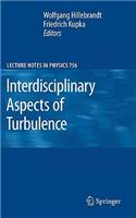 Interdisciplinary Aspects of Turbulence