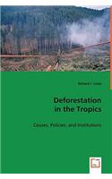 Deforestation in the Tropics