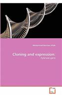 Cloning and expression