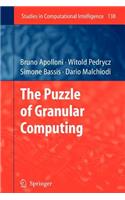 Puzzle of Granular Computing