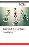 Gerencia Publica y Social