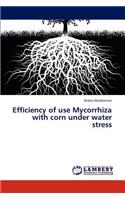 Efficiency of use Mycorrhiza with corn under water stress: (English)