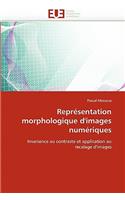 Représentation Morphologique d'Images Numériques