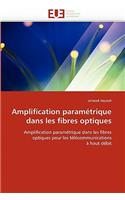 Amplification Param�trique Dans Les Fibres Optiques