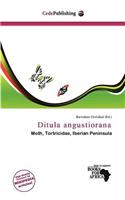 Ditula Angustiorana: (English)