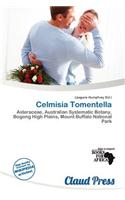 Celmisia Tomentella