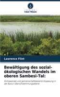 Bewältigung des sozial-ökologischen Wandels im oberen Sambesi-Tal
