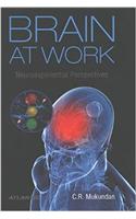 Brain at Work Neuroexperiential Perspectives