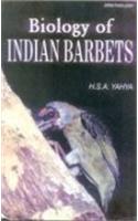 Biology of the Indian Barbets