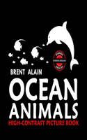 Ocean Animals