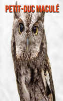 Petit-Duc Maculé: Photos Etonnantes & Recueil d'Informations Amusantes Concernant les Petit-Duc Maculé