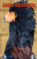 Águila volatinera