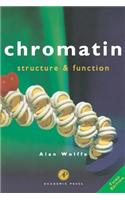 Chromatin