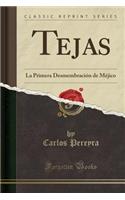 Tejas: La Primera Desmembración de Méjico (Classic Reprint)
