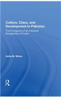 Culture, Class, and Development in Pakistan