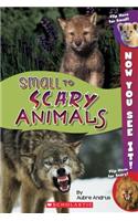 Now You See It! Small to Scary Animals