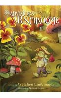 The Adventures of Mr. Schnoozle