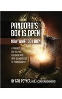 Pandora's Box Is Open Now What Do I Do?: A Parent's Guide for Helping Children Who Have Been Exposed to Pornography