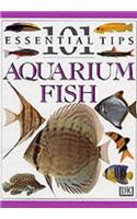 Aquarium Fish (101 Essential Tips)