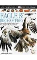 Eagles and Birds of Prey
