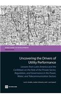 Uncovering the Drivers of Utility Performance