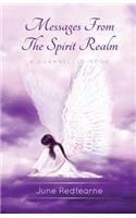 Messages from the Spirit Realm: A Channelled Book