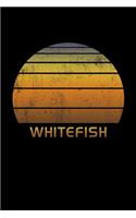 Whitefish